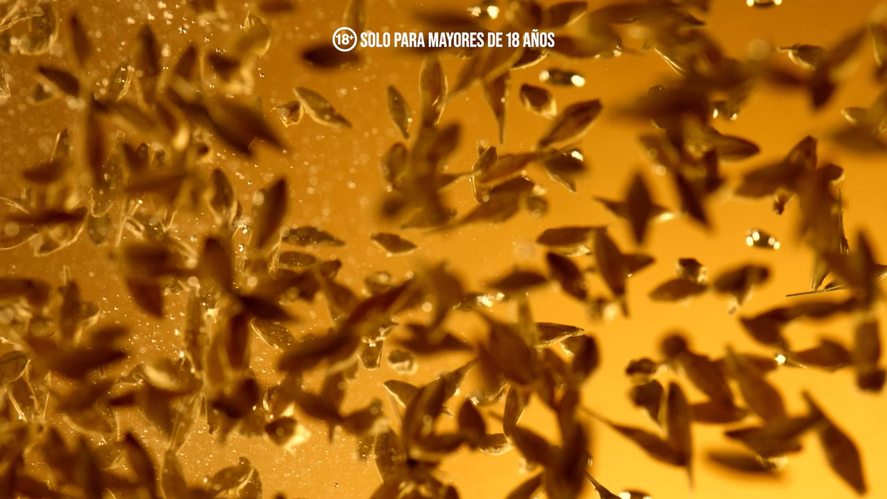 comercial inti – nuestra siembra